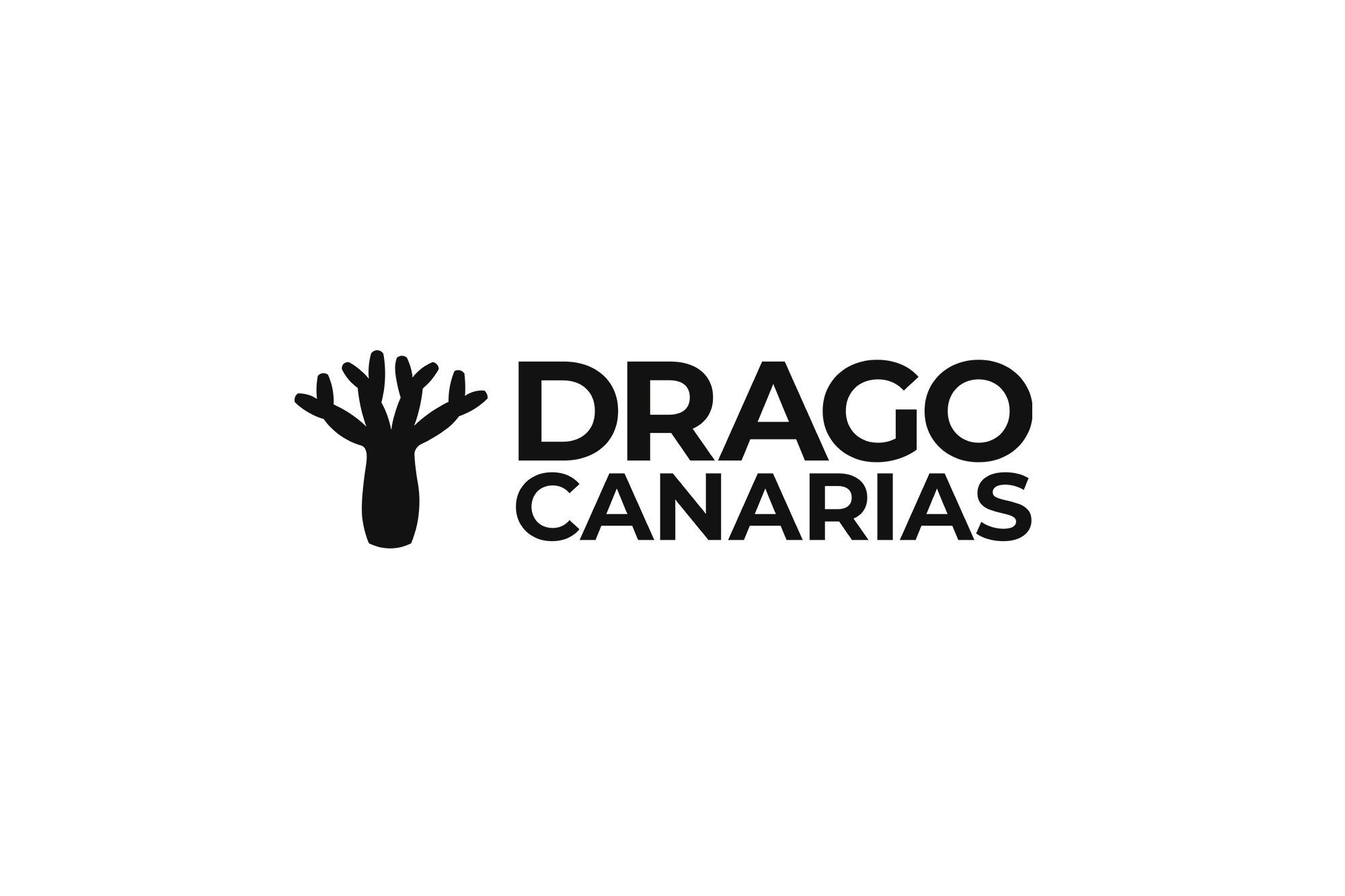 Logo Drago Canarias.//Cedida