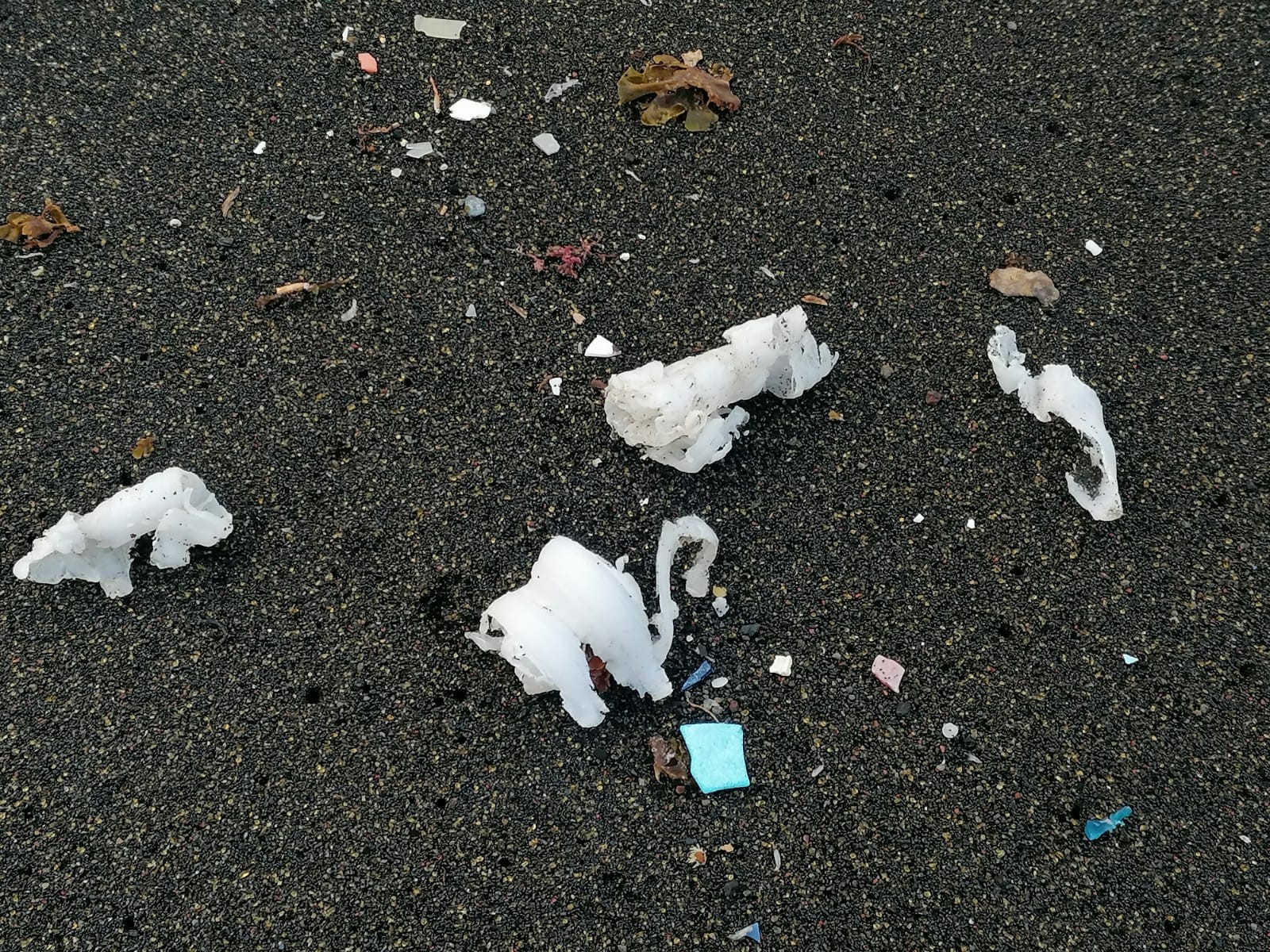 p03 1